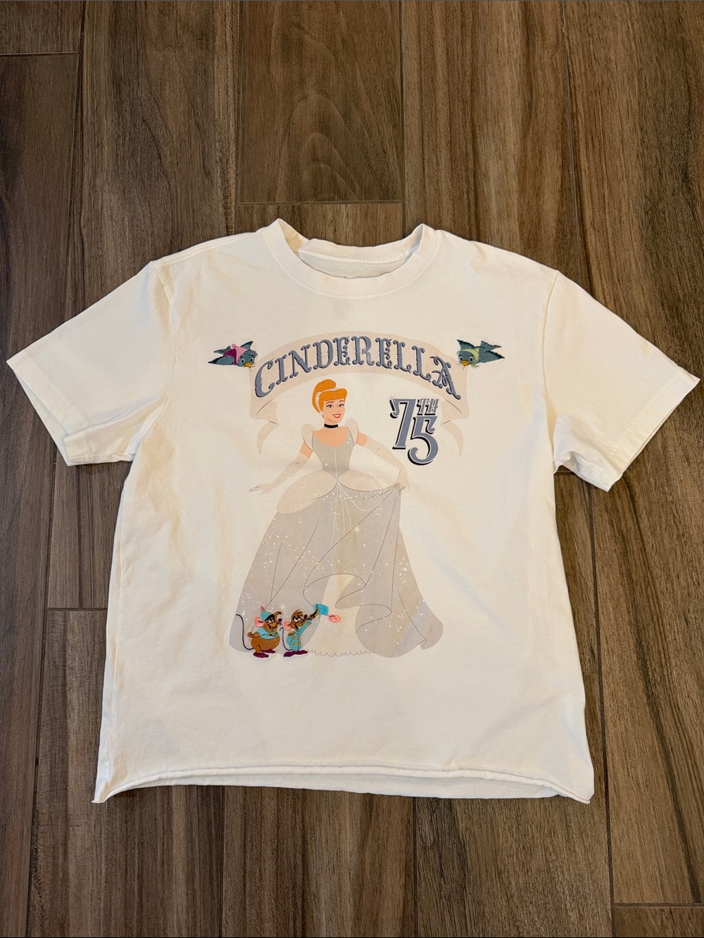 2025 Disney Cinderella 75th Anniversary T-Shirt Embroidered- Women’s Medium